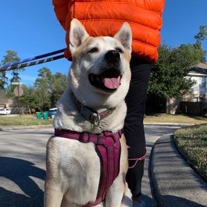 Meet your Posher, Veronica